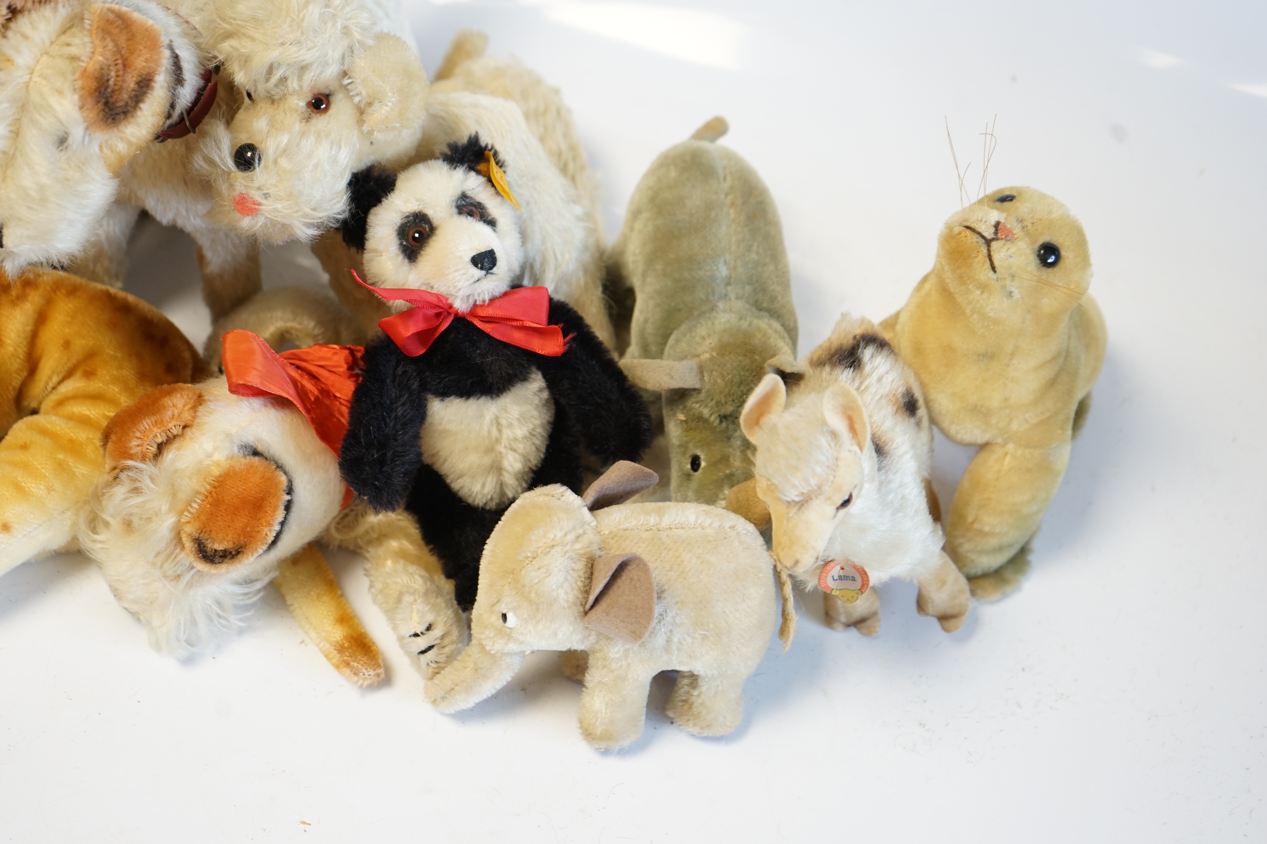 Ten assorted 1960's Steiff animals, some with I.D., some not, including Foxy the terrier and a Panda Teddy Baby. Condition - fair